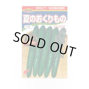 画像: 送料無料　[キュウリ]　夏のおくりもの　20粒　渡辺農事（株）