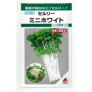 画像: 送料無料　セルリー　ミニホワイト　1.5ml　タキイ種苗(株)　GF
