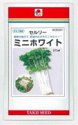 画像: 送料無料　セルリー　ミニホワイト　20ml　タキイ種苗(株)