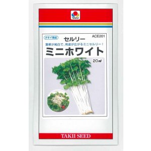 画像: 送料無料　セルリー　ミニホワイト　20ml　タキイ種苗(株)