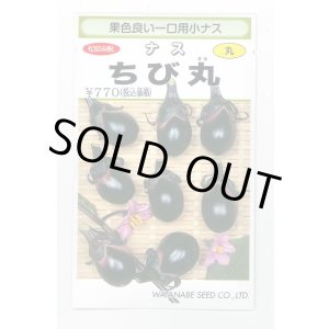 画像: 送料無料　[なす]　一口小茄子　ちび丸　0.6ml(およそ60粒)　(株)渡辺採種場