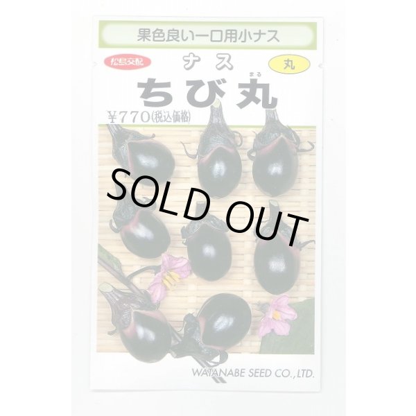 画像1: 送料無料　[なす]　一口小茄子　ちび丸　0.6ml(およそ60粒)　(株)渡辺採種場 (1)