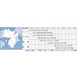 画像3: [枝豆]　早生黒頭巾　1L　タキイ種苗（株） (3)
