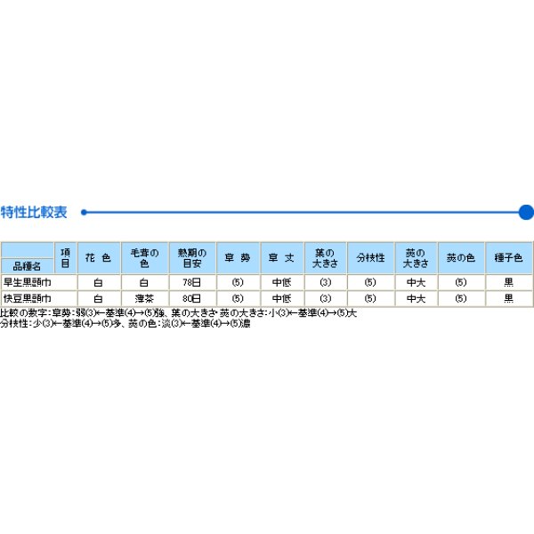 画像2: [枝豆]　早生黒頭巾　1L　タキイ種苗（株） (2)