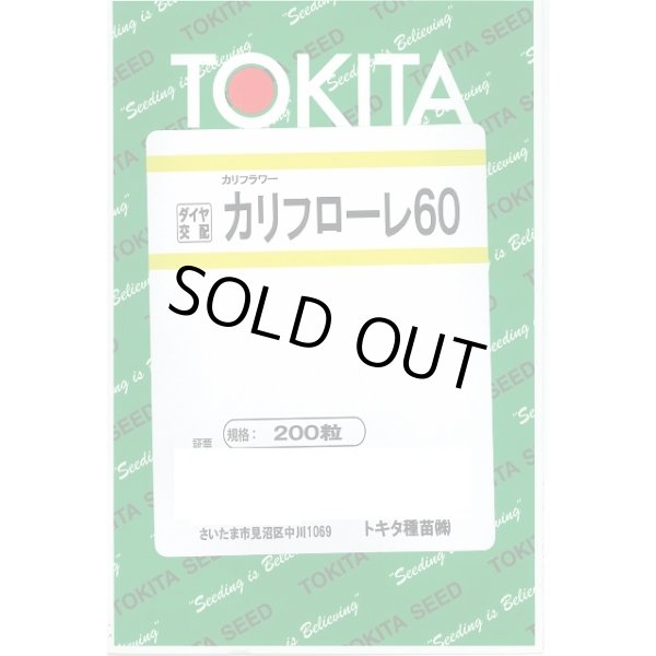 画像1: [イタリア野菜] カリフローレ60 200粒 トキタ種苗(株) (1)