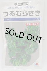 画像: 送料無料 つるむらさき 1dl(およそ1625粒) タキイ種苗