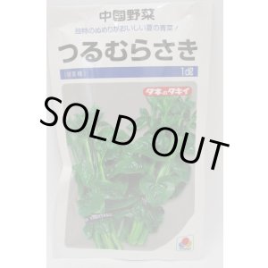 画像: 送料無料 つるむらさき 1dl(およそ1625粒) タキイ種苗