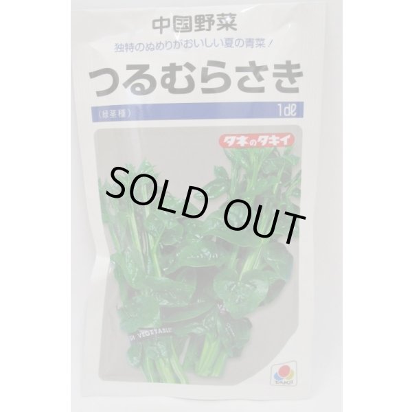画像1: 送料無料 つるむらさき 1dl(およそ1625粒) タキイ種苗 (1)