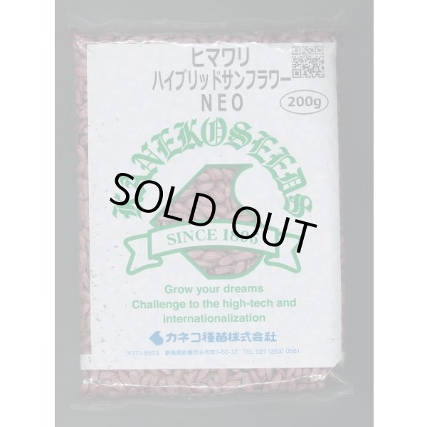 画像1: [景観形成作物]　ヒマワリ　ハイブリッドサンフラワーNEO　200g　カネコ種苗（株） (1)