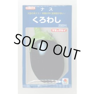 画像: 送料無料　[なす]　くろわし　2000粒　タキイ種苗(株)