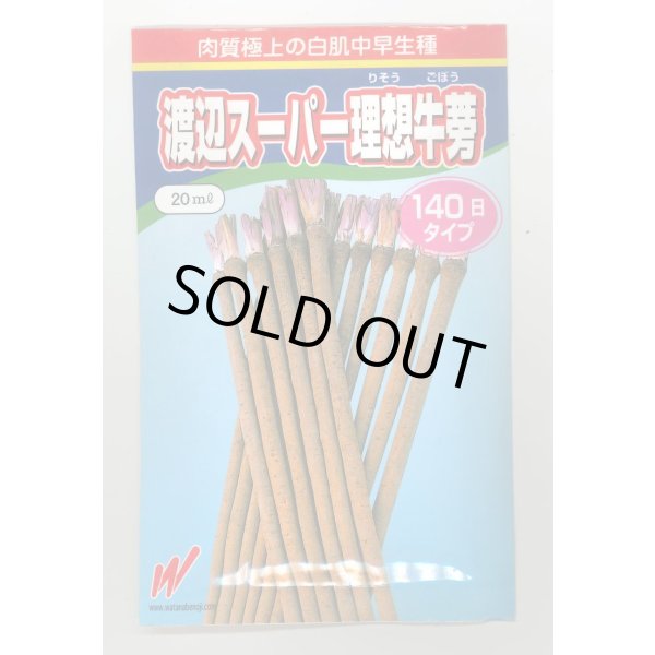 画像1: 送料無料　[牛蒡]　渡辺スーパー理想　20ml　渡辺農事（株） (1)