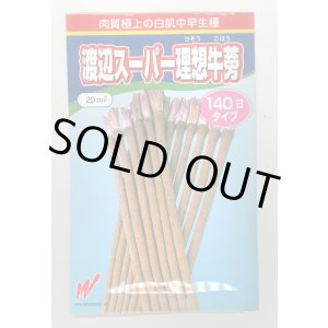 画像: 送料無料　[牛蒡]　渡辺スーパー理想　1L　渡辺農事（株）