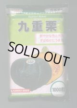 画像: 送料無料　[かぼちゃ]　九重栗　1000粒　カネコ種苗（株）