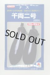 画像: 送料無料　[なす]　千両二号　2000粒　タキイ種苗(株)
