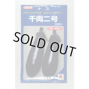 画像: 送料無料　[なす]　千両二号　2000粒　タキイ種苗(株)