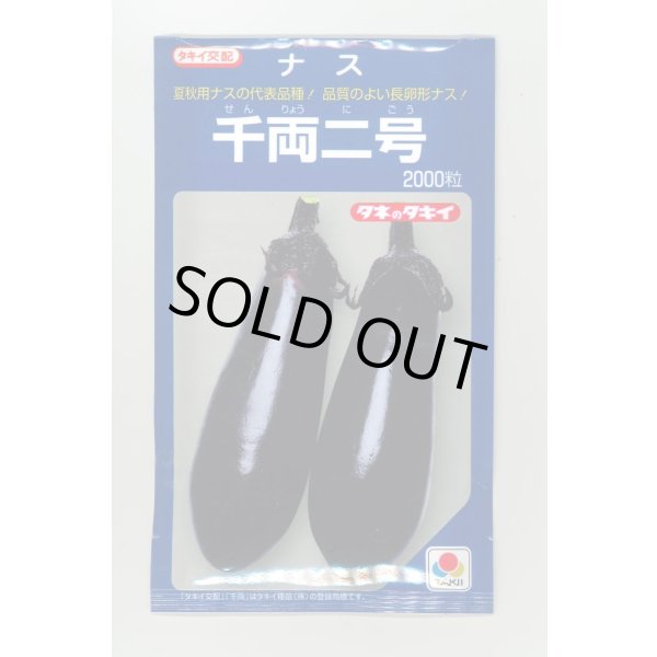 画像1: 送料無料　[なす]　千両二号　2000粒　タキイ種苗(株) (1)
