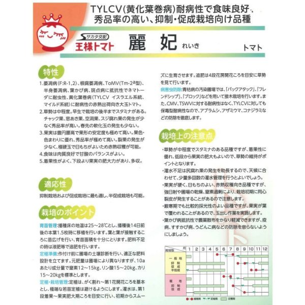 画像3: 送料無料 [トマト/大玉トマト] 麗妃 1000粒 (株)サカタのタネ (3)