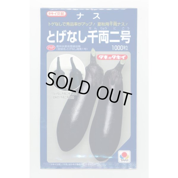 画像1: 送料無料　[なす]　とげなし千両二号　1000粒　タキイ種苗(株) (1)