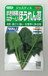 画像: [ほうれんそう]　ジャスティス　約900粒　サカタのタネ（株）　実咲300