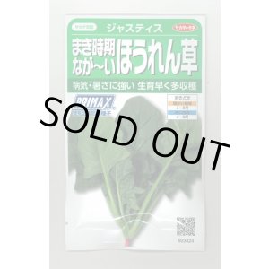 画像: 送料無料　[ほうれんそう]　ジャスティス　約900粒　(株)サカタのタネ　実咲350（003014）