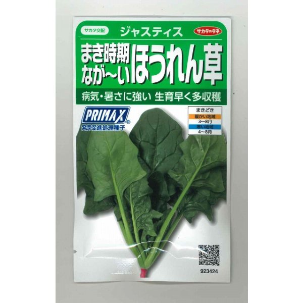 画像1: 送料無料　[ほうれんそう]　ジャスティス　約900粒　(株)サカタのタネ　実咲350（003014） (1)