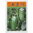 画像1: 送料無料　[ピーマン]　あきの　500粒 (1)