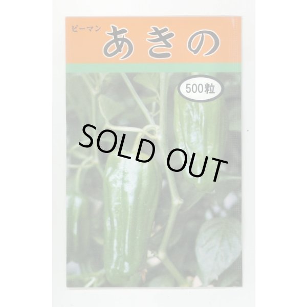 画像1: 送料無料　[ピーマン]　あきの　500粒 (1)