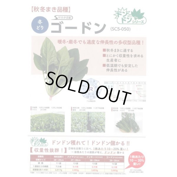 画像5: 送料無料　[ほうれんそう]　ゴードン　100ml　(およそ5500粒)　(株)サカタのタネ　実咲PRO（101532） (5)