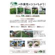 画像6: 送料無料　[ほうれんそう]　ゴードン　100ml　(およそ5500粒)　(株)サカタのタネ　実咲PRO (6)