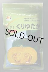 画像: 送料無料　[かぼちゃ]　くりゆたか　500粒　ヴィルモランみかど（株）