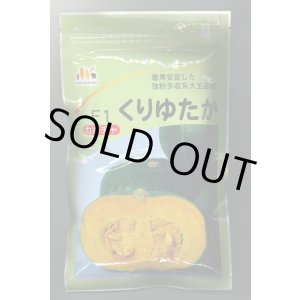 画像: 送料無料　[かぼちゃ]　くりゆたか　500粒　ヴィルモランみかど（株）