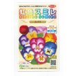 画像1: 送料無料　花の種　パンジー　虹色スミレ　ミックス　約35粒　(株)サカタのタネ　実咲500（026387） (1)