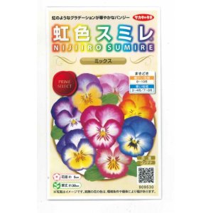 画像: 花の種　パンジー　虹色スミレ　ミックス　約35粒 　サカタのタネ（株）実咲500