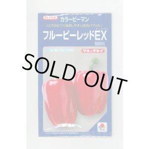 画像: 送料無料　[ピーマン]　カラーピーマン　フルーピーレッドEX　500粒　レッド　タキイ種苗(株)