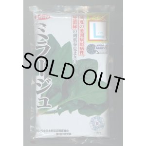 画像: [ほうれんそう] ミラージュ 種子サイズ：L 2万粒 （株）サカタのタネ