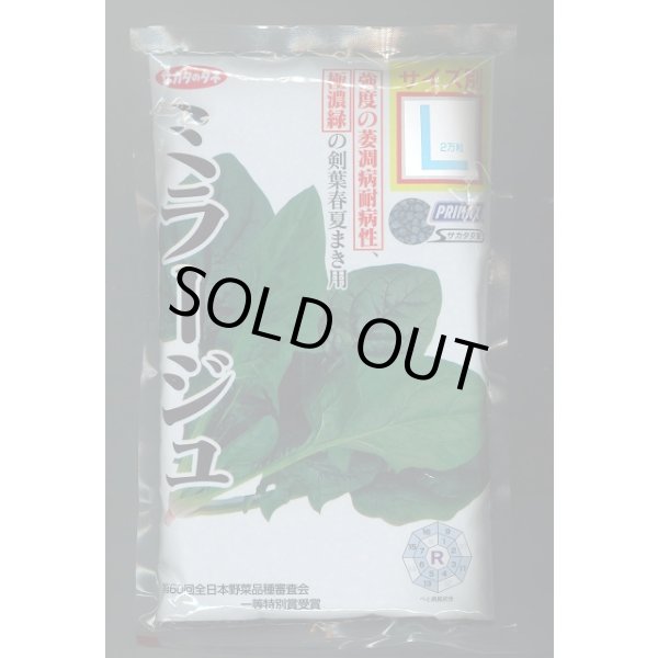 画像1: [ほうれんそう] ミラージュ 種子サイズ：L 2万粒 （株）サカタのタネ (1)