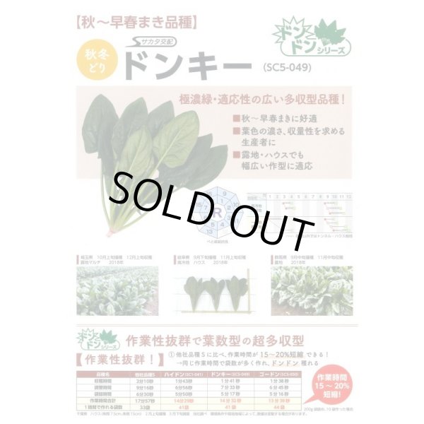画像6: 送料無料　[ほうれんそう]　ドンキー　100ml　(約4000粒)　(株)サカタのタネ　実咲PRO (6)