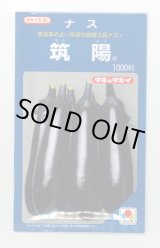 画像: 送料無料　[なす]　筑陽　1000粒　タキイ種苗(株)
