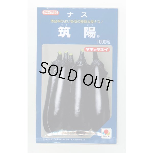 画像1: 送料無料　[なす]　筑陽　1000粒　タキイ種苗(株) (1)