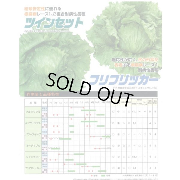 画像4: [レタス] オーディブル ペレット種子 5000粒 （株）サカタのタネ (4)