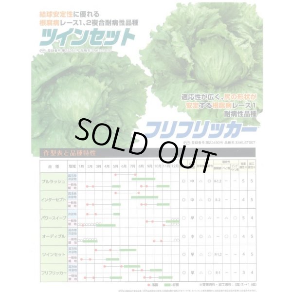 画像4: [レタス]　フリフリッカー　ペレット150粒　　サカタのタネ（株） (4)