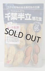 画像: 送料無料　[落花生]　千葉半立　1dl　(およそ70粒)渡辺農事（株）