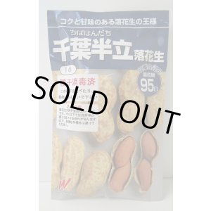 画像: 送料無料　[落花生]　千葉半立　1dl　(およそ70粒)渡辺農事（株）