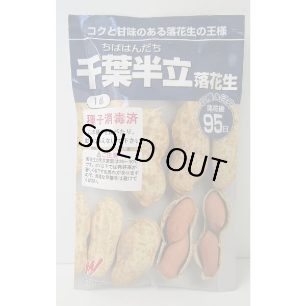 画像1: 送料無料　[落花生]　千葉半立　1dl　(およそ70粒)渡辺農事（株） (1)