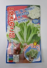 画像: 送料無料　[カリフラワー]　ゆきのこ65　40粒　ナント種苗(株)