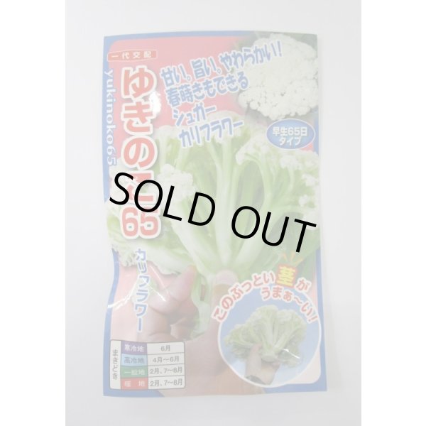 画像1: 送料無料　[カリフラワー]　ゆきのこ65　40粒　ナント種苗(株) (1)