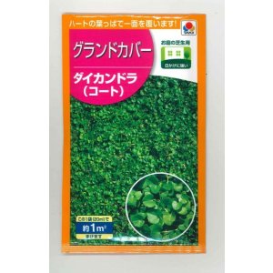 画像: 送料無料　[景観形成作物]　グランドカバー　ダイカンドラ(コート)20ml　タキイ種苗