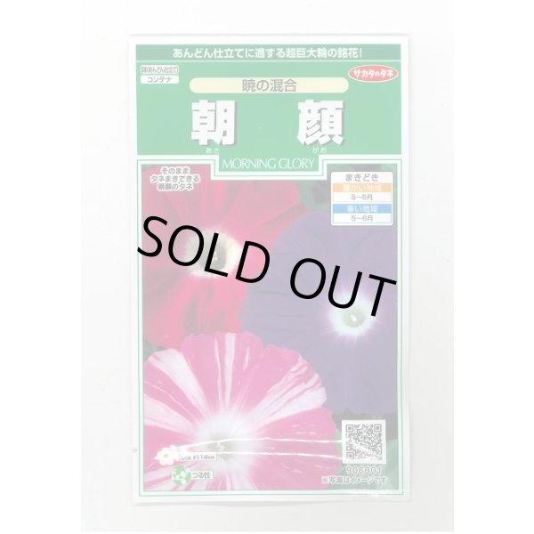 画像1: 花の種 朝顔 暁の混合 小袋 (株)サカタのタネ 実咲250(026192) (1)