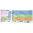 画像5: 大根　　夏あおい    ペレット5000粒　 タキイ種苗（株） (5)