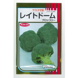 画像: 送料無料　[ブロッコリー]　レイトドーム　2000粒　(株)サカタのタネ